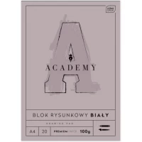 Ilustracja produktu Interdruk Academy Blok Rysunkowy A4 20 kartek 100g 331700