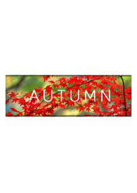 Ilustracja produktu Autumn (PC/MAC/LX) DIGITAL (klucz STEAM)