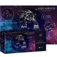 Ilustracja produktu Interdruk Puzzle 250 el. Zodiac Signs 11 Aquarius - Wodnik 341976