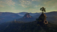 11. theHunter: Call of the Wild™ - Emerald Coast Australia (DLC) (PC) (klucz STEAM)