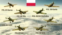 9. Hearts of Iron IV: Eastern Front Planes Pack (DLC) (PC) (klucz STEAM)