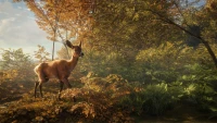 3. theHunter: Call of the Wild PL (PC) (klucz STEAM)