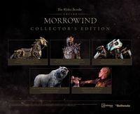 1. The Elder Scrolls Online - Morrowind Digital Collector's Upgrade (PC/MAC) DIGITAL (klucz ESO)