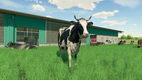 11. Farming Simulator 22 PL (PC) (klucz STEAM)