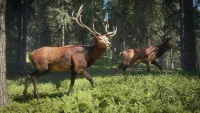 8. theHunter: Call of the Wild PL (PC) (klucz STEAM)