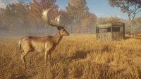 4. theHunter: Call of the Wild™ - Tents & Ground Blinds PL (DLC) (PC) (klucz STEAM)