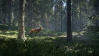 5. theHunter: Call of the Wild PL (PC) (klucz STEAM)