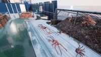10. Fishing: Barents Sea - King Crab PL (DLC) (PC) (klucz STEAM)