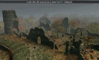 2. The Mystery of the Druids (PC) (klucz STEAM)