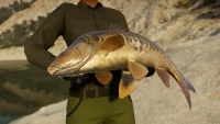 5. Call of the Wild: The Angler - Spain Reserve PL (DLC) (PC) (klucz STEAM)