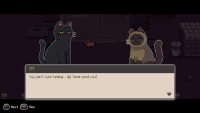4. A Street Cat's Tale 2: Out side is dangerous (PC) (klucz STEAM)