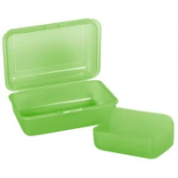 Ilustracja produktu CoolPack Śniadaniówka Frozen 2 Transparent Green Z03990