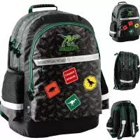 Ilustracja produktu Paso Plecak Szkolny Dino Green PP25DI-116