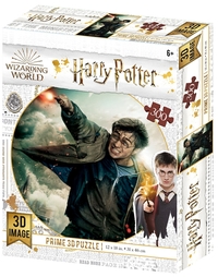Ilustracja Harry Potter: Magiczne Puzzle - Pojedynek Harry'ego (300 elementów)