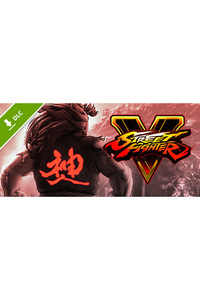 Ilustracja produktu Street Fighter V - Season 2 Character Pass (PC) PL DIGITAL (klucz STEAM)