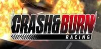 Ilustracja produktu Crash and Burn Racing (PC) DIGITAL (klucz STEAM)