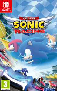 Ilustracja Team Sonic Racing PL (NS)