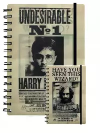 Ilustracja Notatnik 3D Harry Potter (SIRIUS & HARRY)