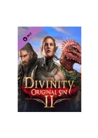Ilustracja Divinity: Original Sin 2 - Divine Ascension (DLC) (PC) (klucz GOG.COM)