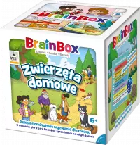 Ilustracja produktu BrainBox - Zwierzęta domowe