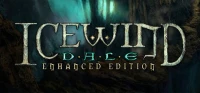 Ilustracja Icewind Dale: Enhanced Edition PL (PC) (klucz GOG.COM)