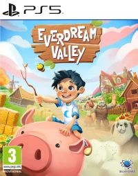 Ilustracja Everdream Valley (PS5)