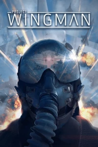 Ilustracja produktu Project Wingman (PC) (klucz STEAM)