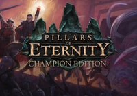 Ilustracja Pillars of Eternity: Champion Edition PL (PC) (klucz STEAM)