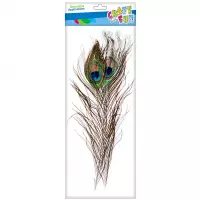 Ilustracja produktu Craft With Fun Ozdoba Dekoracyjna Pawie Pióra 463631