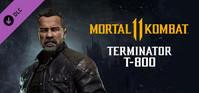 Ilustracja produktu Mortal Kombat 11 Terminator T-800 (PC) (klucz STEAM)