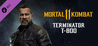 Ilustracja Mortal Kombat 11 Terminator T-800 (PC) (klucz STEAM)