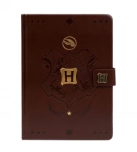 Ilustracja produktu Notatnik A5 Premium Harry Potter - QUIDDITCH