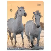 Ilustracja produktu Interdruk Zeszyt A5 16 kartek kratka UV Wild Horses 366320