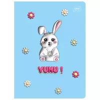 Ilustracja produktu Interdruk Zeszyt A5 16 kartek kolorowa 3linia UV Yuhu 366443