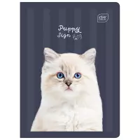 Ilustracja produktu Interdruk Zeszyt A5 16 kartek kolorowa 3linia UV Puppy Sign 348272