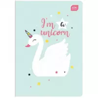 Ilustracja produktu Interdruk Zeszyt A5 16 kartek kratka PP Magic Girls 293763