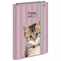 Ilustracja produktu Interdruk Teczka z Gumką A4 Girls 259127