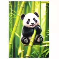 Ilustracja Starpak Teczka z Gumką Wild Animals 559729