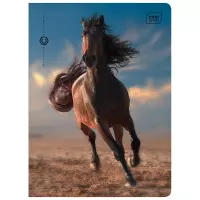 Ilustracja produktu Interdruk Zeszyt A5 32 kartek kratka UV Wild Horses 366573