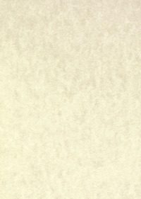 Ilustracja produktu O.Papiernia Marina 90g/m2 25 sztuk