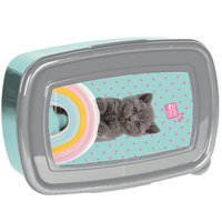 Ilustracja Paso Śniadaniówka Studio Pets Kotek PTL-3022