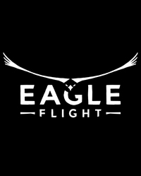 Ilustracja Eagle Flight VR PL (PS4)