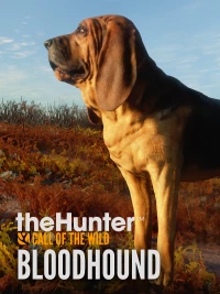 Ilustracja produktu theHunter: Call of the Wild™ - Bloodhound PL (DLC) (PC) (klucz STEAM)