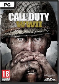 Ilustracja Call of Duty: WWII (PC) PL