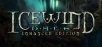 Ilustracja Icewind Dale Enhanced Edition PL (PC) (klucz STEAM)