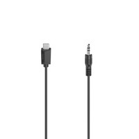 Ilustracja produktu Hama Adapter C. USB-C to 3.5-mm 0.75 m
