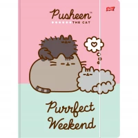 Ilustracja produktu Bambino Teczka z Gumką A4 Pusheen Różowa 644597