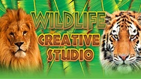 Ilustracja produktu Wildlife Creative Studio (PC) (klucz STEAM)
