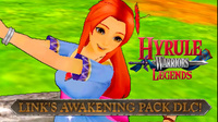 Ilustracja Hyrule Warriors Legends: Link's Awakening (3DS DIGITAL) (Nintendo Store)