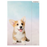 Ilustracja produktu Starpak Teczka z Gumką Corgi 398150